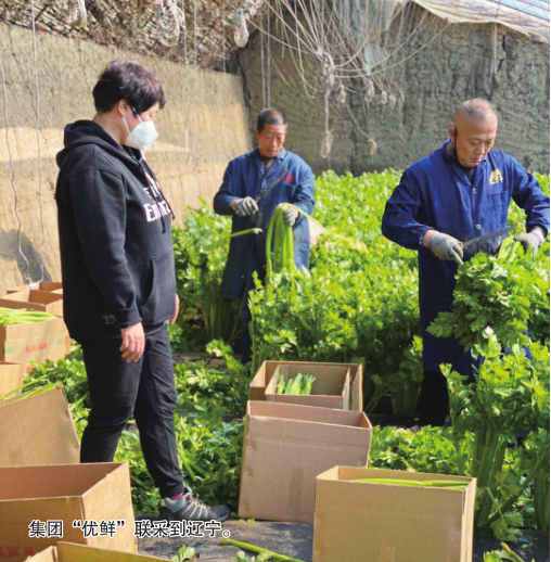 不朽情缘MG(中国区)官方网站 -首页入口